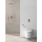 Верхний душ с душевым кронштейном 380 мм, 1 режим струи, GROHE Rainshower, теплый закат матовый, (26066DL0)