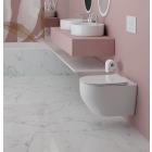 Комплект инсталляции GROHE Rapid SL NW0145/S с унитазом Aquatek ЕВРОПА AQ1901-00 и сиденьем с микролифтом (NW0246)
