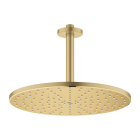 Верхний душ GROHE Rainshower 310 Mono с душевым кронштейном, холодный рассвет матовый (26560GN0)
