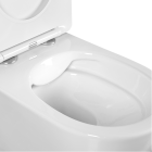 Унитаз Aquatek ЕВРОПА подвесной с сиденьем с микролифтом, белый матовый (AQ1901-MW)